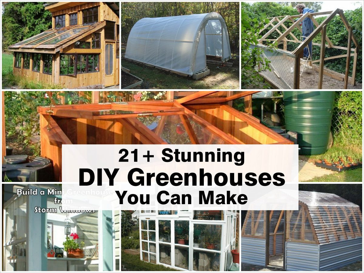Backyard Greenhouse Plans
 21 Stunning DIY Greenhouses You Can Make