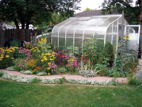 Backyard Greenhouses Kits
 How to Choose the Best Greenhouse Kit DIY MOTHER EARTH