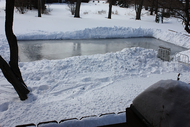 Backyard Ice Rinks
 Mutiny In the Garden Do Backyard Ice Rinks Kill the Grass