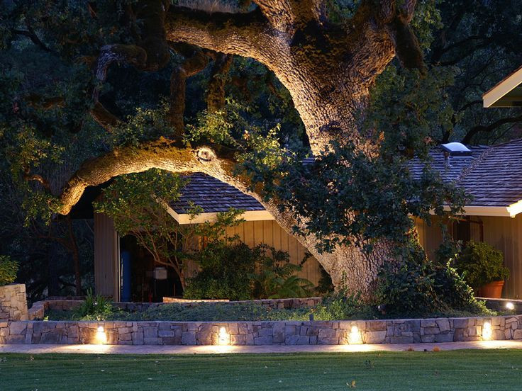 Backyard Landscaping Lighting
 Fascinating Landscape Lighting Ideas That Will Blow Your Mind