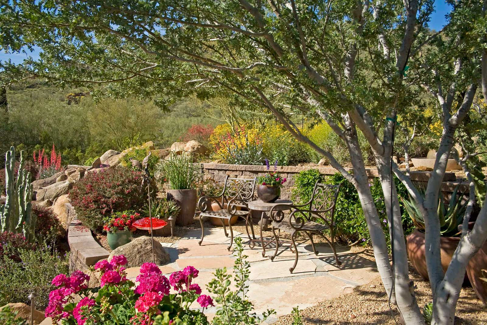 Backyard Landscaping Photo
 Backyard Landscape Design Built for Limitless Enjoyment