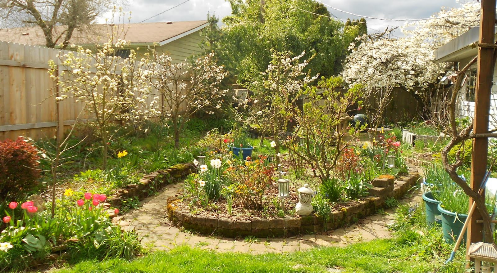 Backyard Orchard Culture
 Growing Greener in the Pacific Northwest Fruit trees in