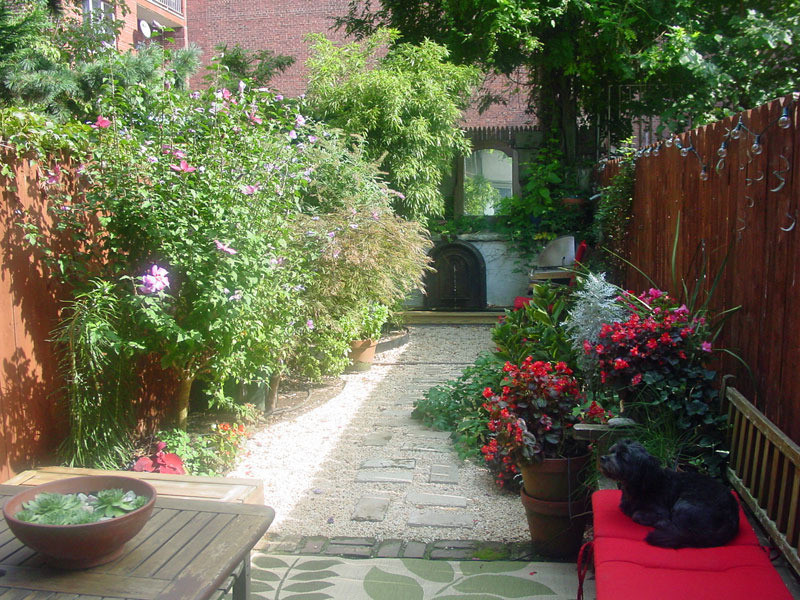 Backyard Park Slope
 Quirky Park Slope Duplex with Charming Backyard Asks $629K