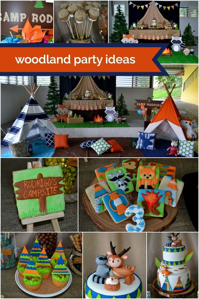 Backyard Party Ideas For Boys
 Woodland Themed Camping Birthday Party