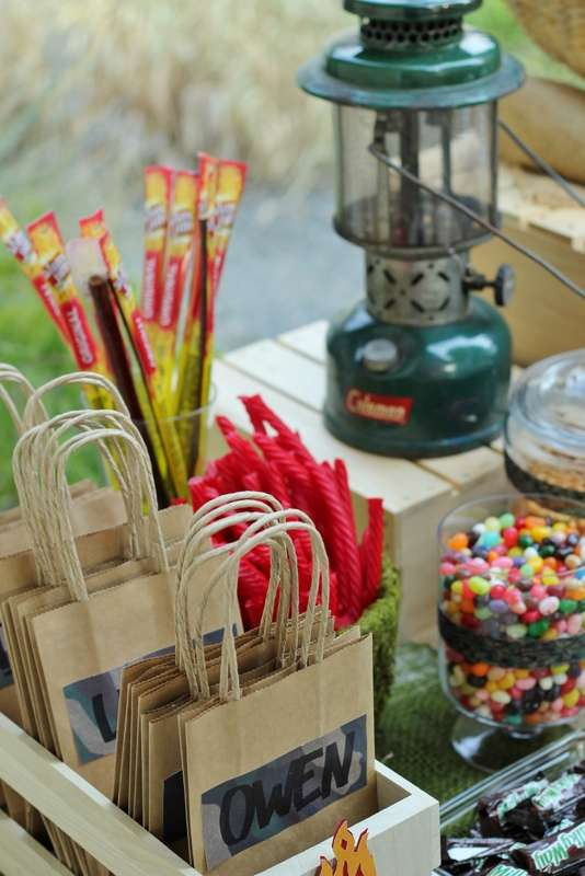 Backyard Party Ideas For Boys
 Boys Backyard Campout Party Birthday Party Ideas