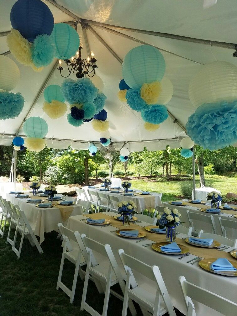 Backyard Party Ideas For Boys
 Baby boy prince themed backyard baby shower