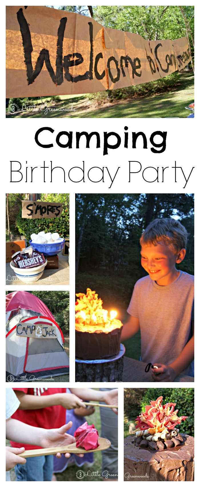 Backyard Party Ideas For Boys
 Camping Birthday Party Fun