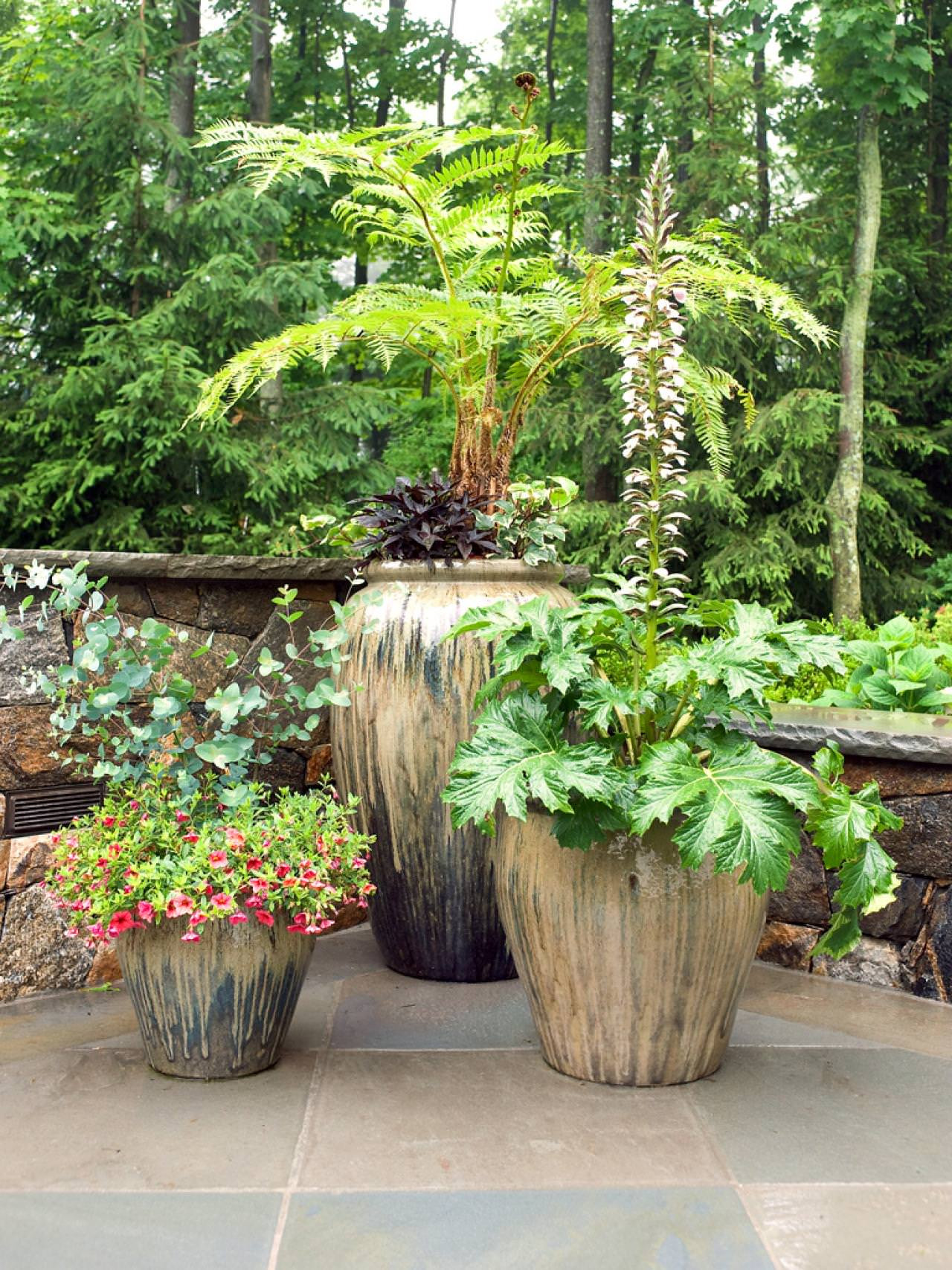 Backyard Planting Ideas
 11 Most Essential Container Garden Design Tips