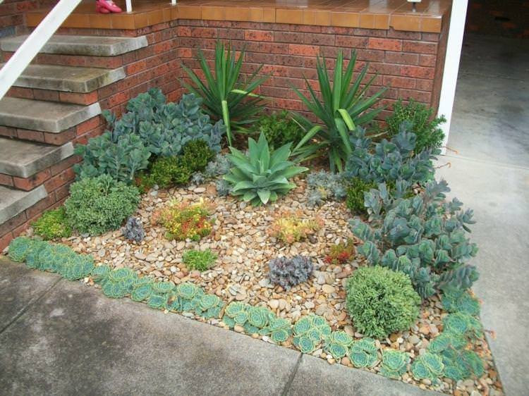 Backyard Planting Ideas
 47 Succulent Planting Ideas with Tutorials