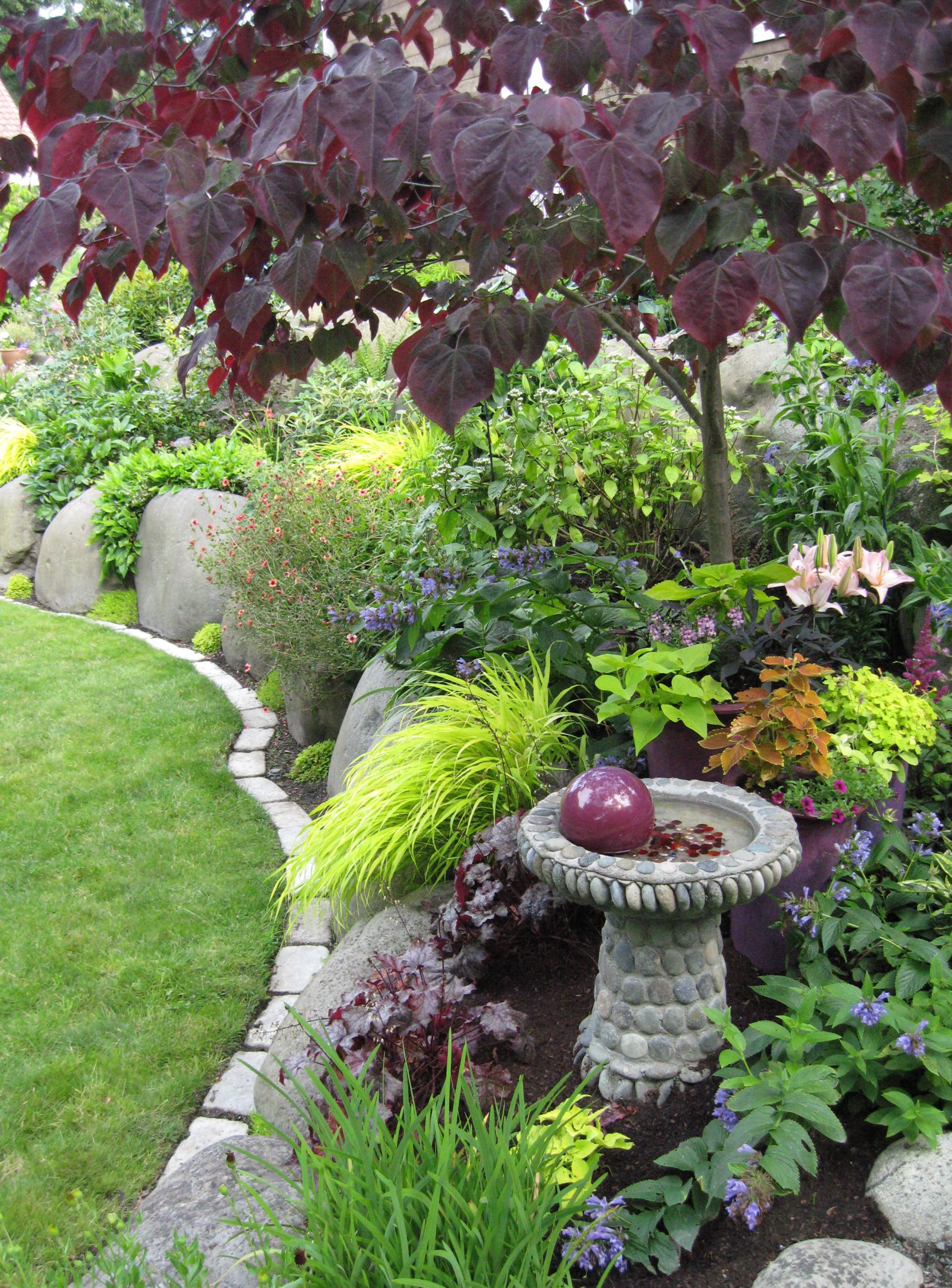 Backyard Planting Ideas
 More from Peggy s garden in Washington state FineGardening