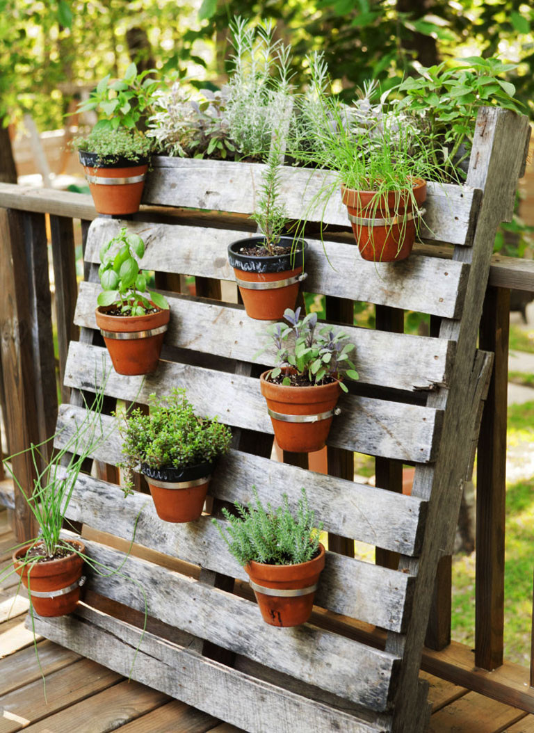 Backyard Planting Ideas
 Container Gardening Ideas Quiet Corner