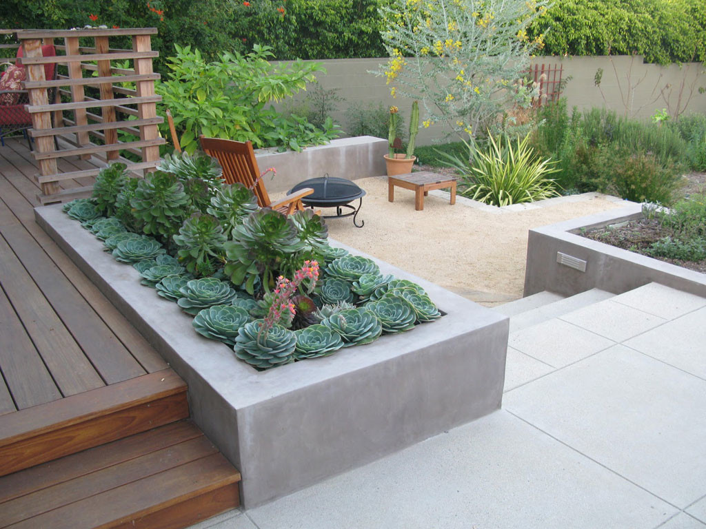 Backyard Planting Ideas
 Desert Landscaping Ideas to Make Your Backyard Look