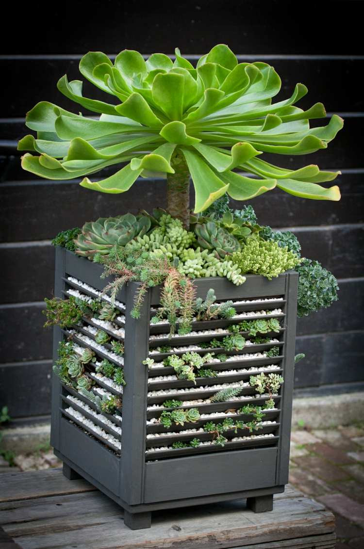 Backyard Planting Ideas
 47 Succulent Planting Ideas with Tutorials