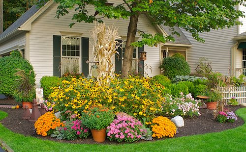 Backyard Planting Ideas
 Fall Gardening Ideas