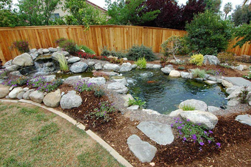 Backyard Ponds For Dummies
 Interesting landscaping for dummies business ideas for the