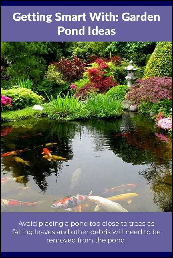 Backyard Ponds For Dummies
 Key Approaches For Getting The Best From Your Pond Garden