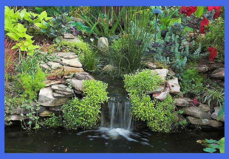 Backyard Ponds For Dummies
 Do It Yourself Backyard Water Garden Ideas – Building a