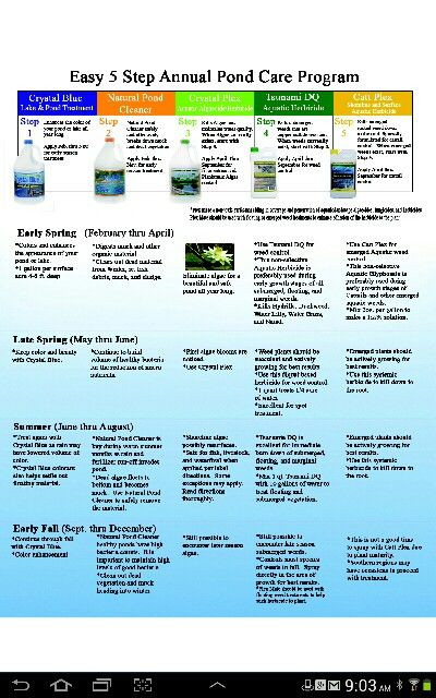 Backyard Ponds For Dummies
 Great pond pond care calender