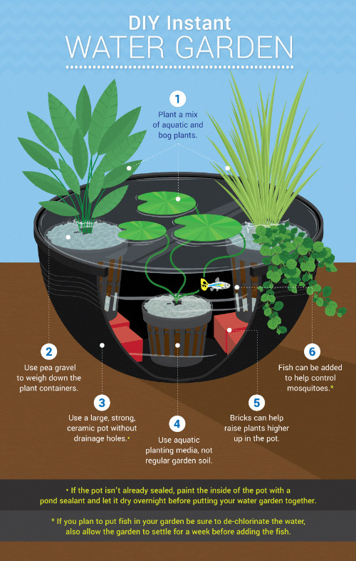 Backyard Ponds For Dummies
 Organic Gardening For Dummies OrganicGardeningBangalore