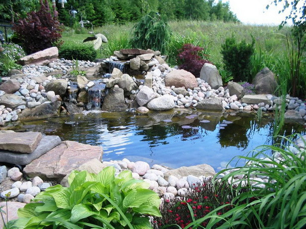 Backyard Ponds For Dummies
 Backyard ponds for dummies