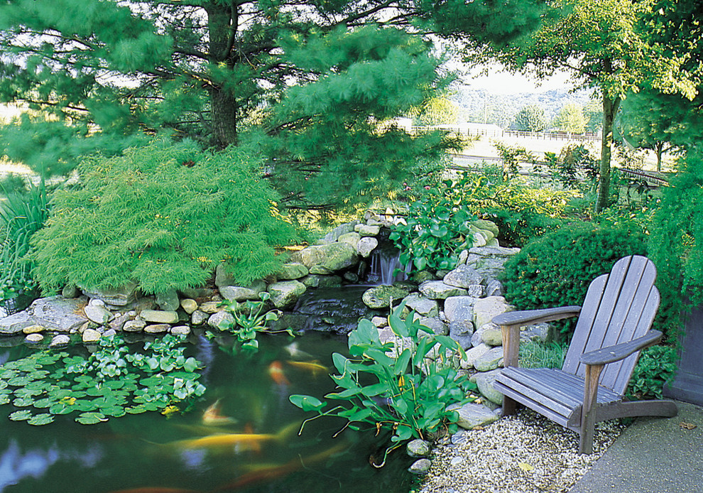 Backyard Ponds Ideas
 67 Cool Backyard Pond Design Ideas DigsDigs