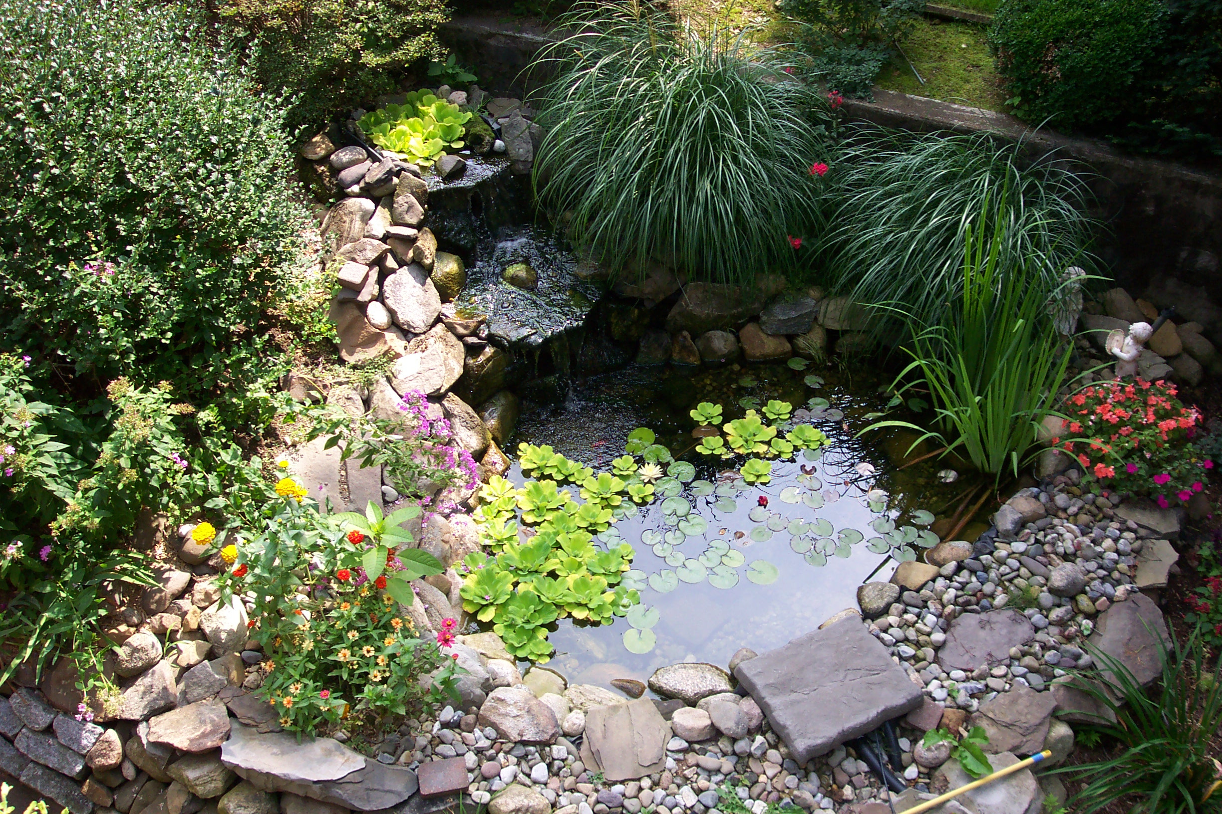 Backyard Ponds Ideas
 Amazing Backyard Pond Design Ideas – The WoW Style