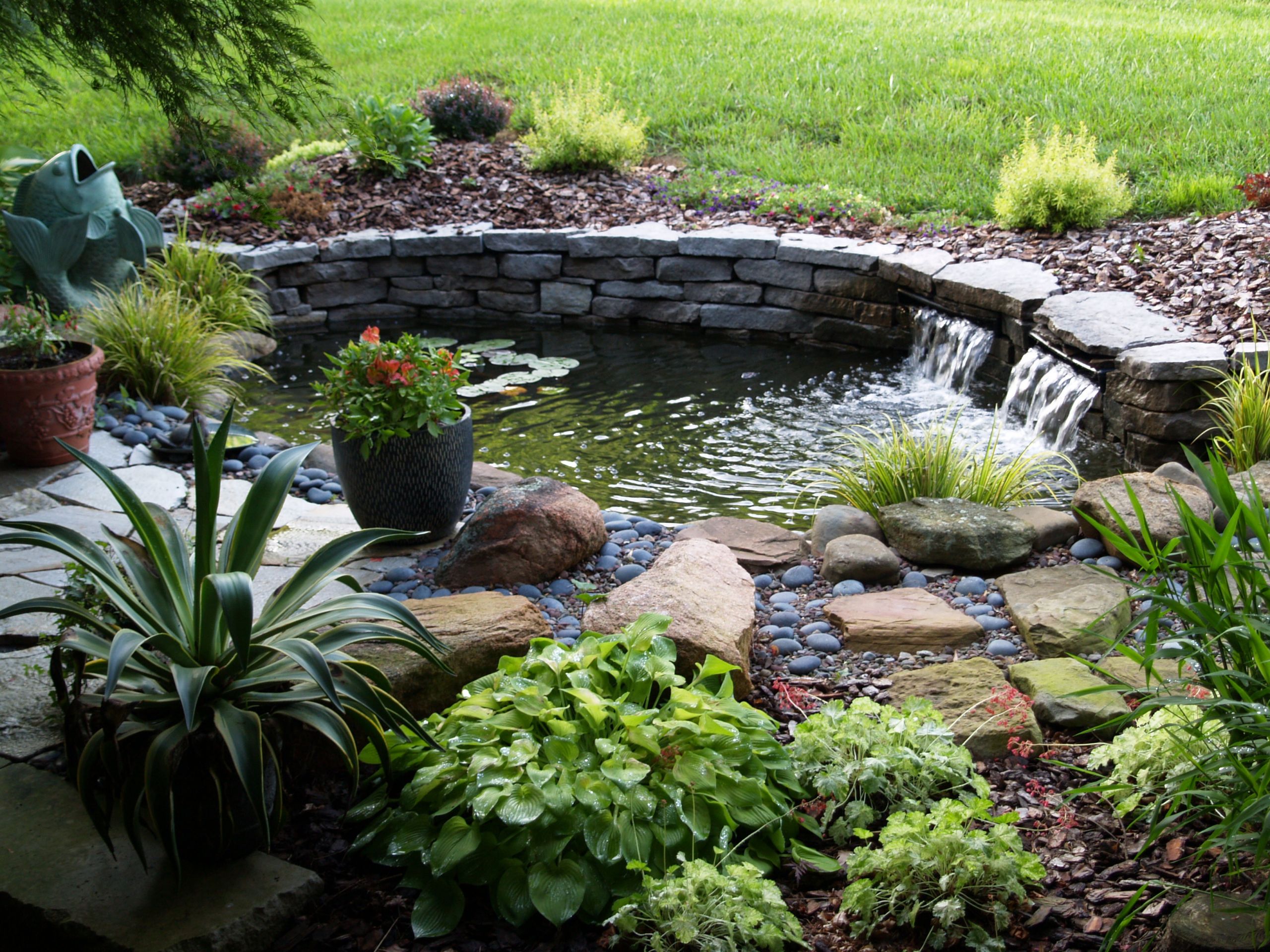 Backyard Ponds Ideas
 How to build a pond in your garden