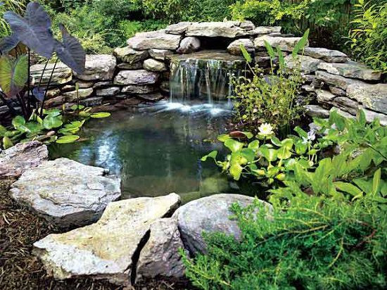 Backyard Ponds Ideas
 21 DIY Water Pond Ideas