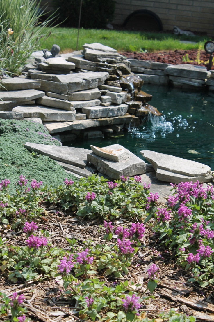 Backyard Ponds Ideas
 53 Cool Backyard Pond Design Ideas