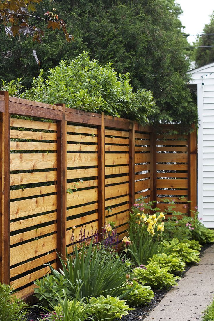 Backyard Privacy Ideas Cheap
 20 Cheap Privacy Fence Design and Ideas