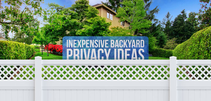 Backyard Privacy Ideas Cheap
 7 Inexpensive Backyard Privacy Ideas