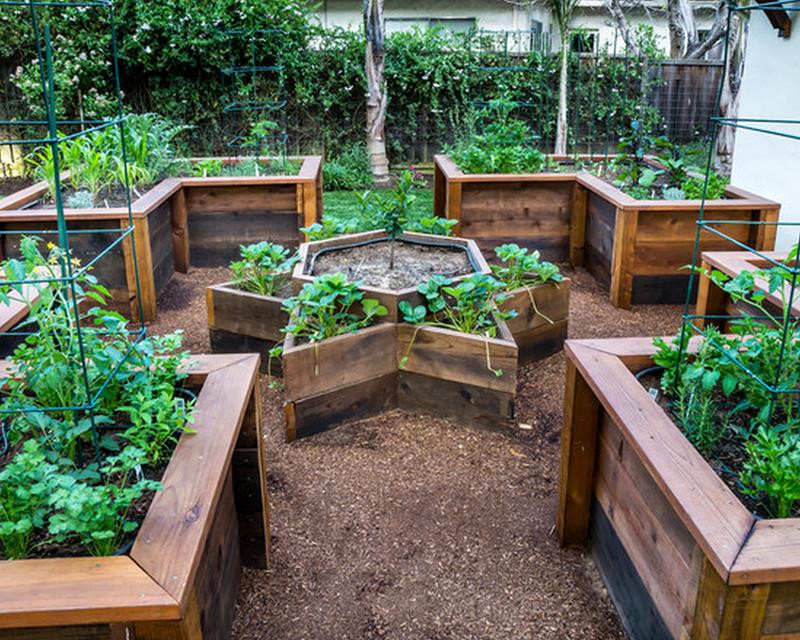 Backyard Raised Garden
 24 Amazing Ideas for Wooden Raised Garden Beds