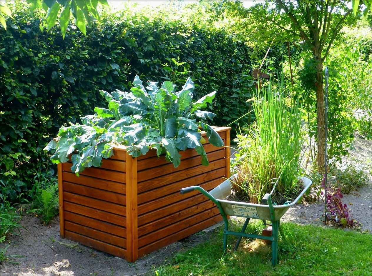 Backyard Raised Garden
 Raised Bed Gardens and Small Plot Gardening Tips