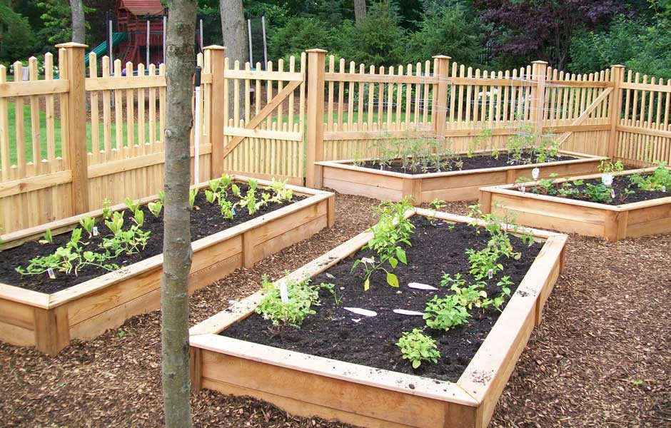 Backyard Raised Garden
 Tarım Siteniz Sebze Bahçesi Hazırlama Making the