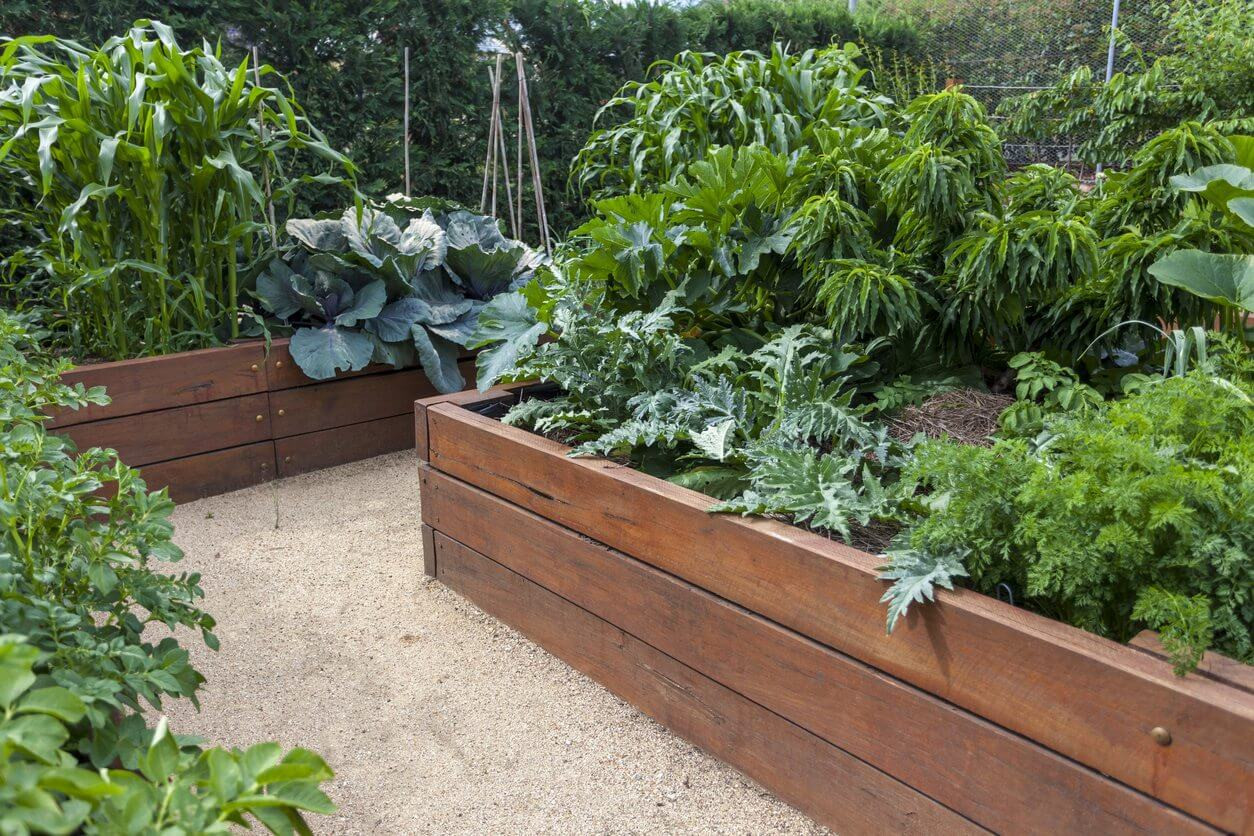 Backyard Raised Garden
 RAISE THOSE BEDS WHICH RAISED BED MATERIAL IS THE BEST