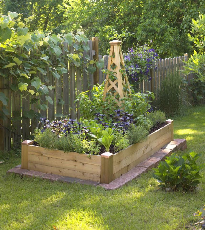 Backyard Raised Garden
 Creating Our First Ve able Garden Advice Please