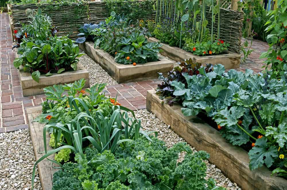 Backyard Raised Garden
 How to Increase Your Ve able Garden Yield 7 Steps