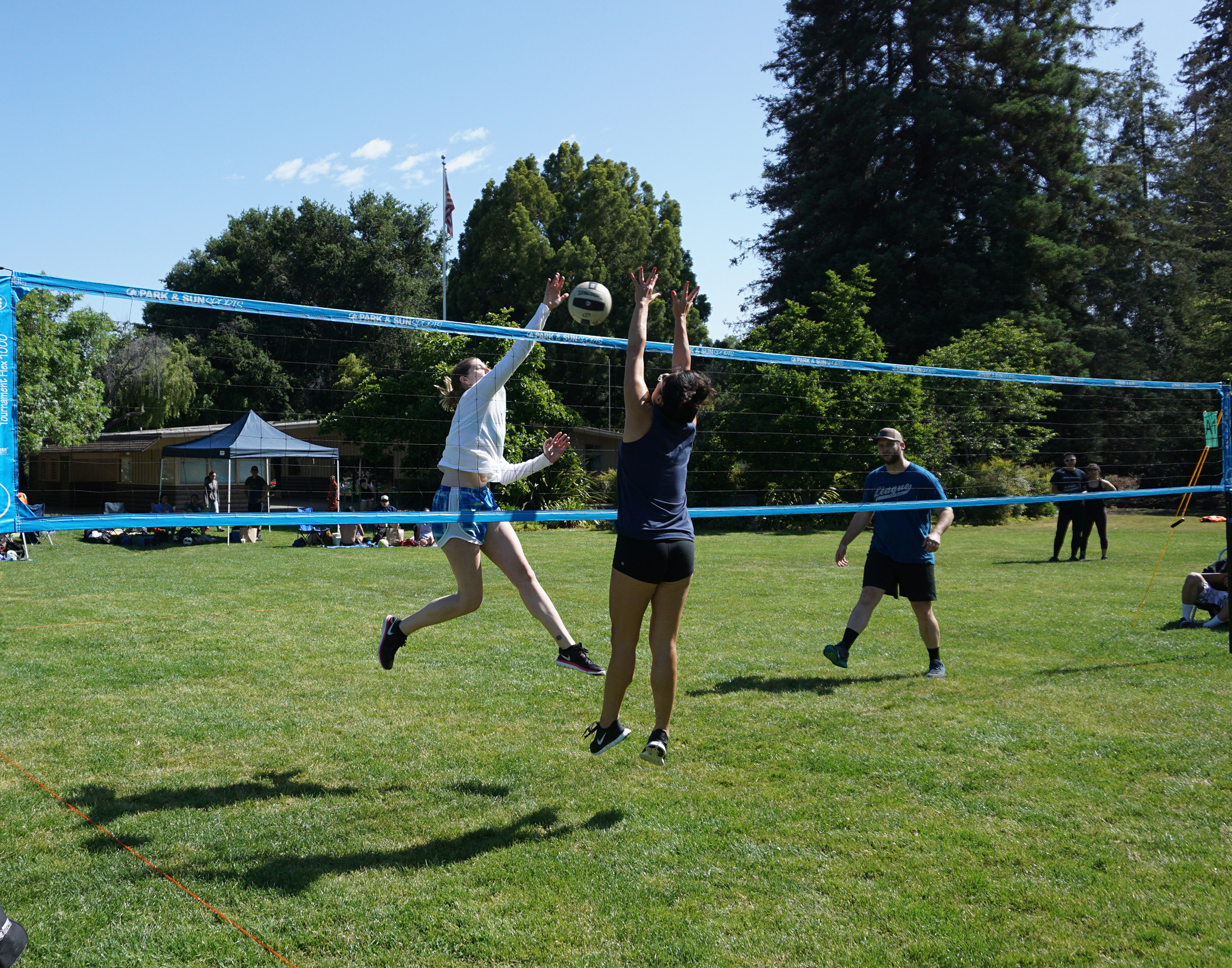 Backyard Volleyball Set
 Tournament Flex 1000 High Quality Outdoor grass and beach