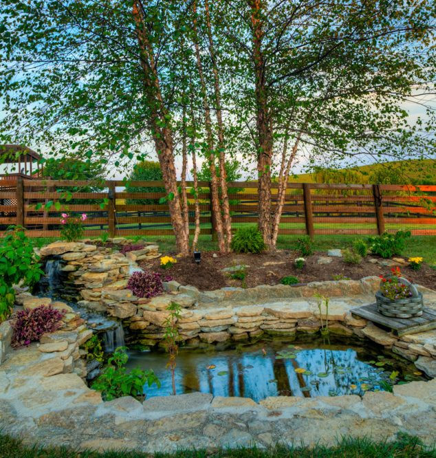 Backyard Water Feature
 The Most Fanciful Backyard Water Features Ideas