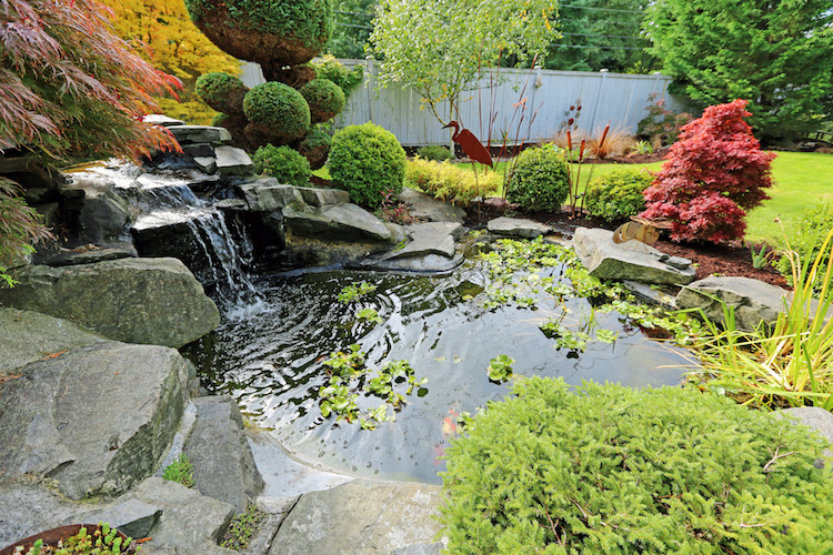 Backyard Water Feature
 How to Create a Beautiful Waterproof Pond in Your Backyard