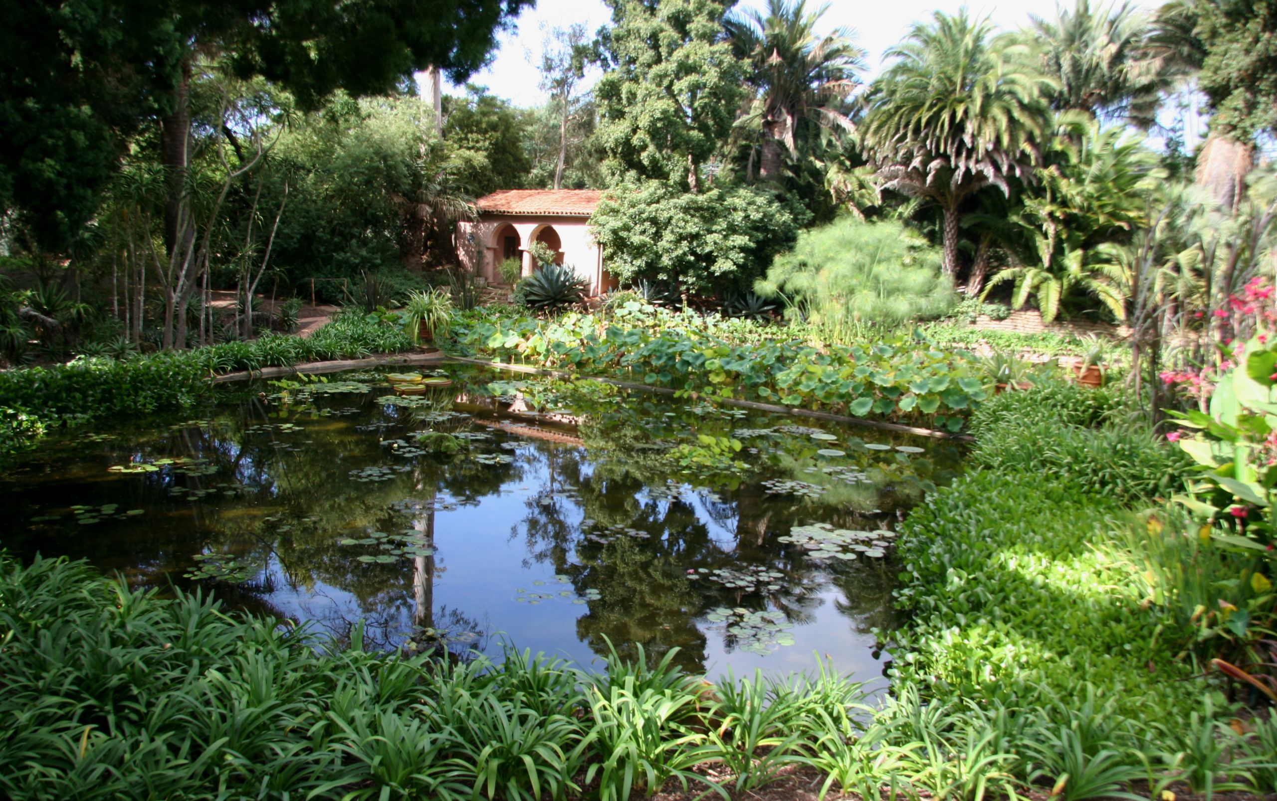 Backyard Water Garden
 File Flickr brewbooks Water Garden Lotusland