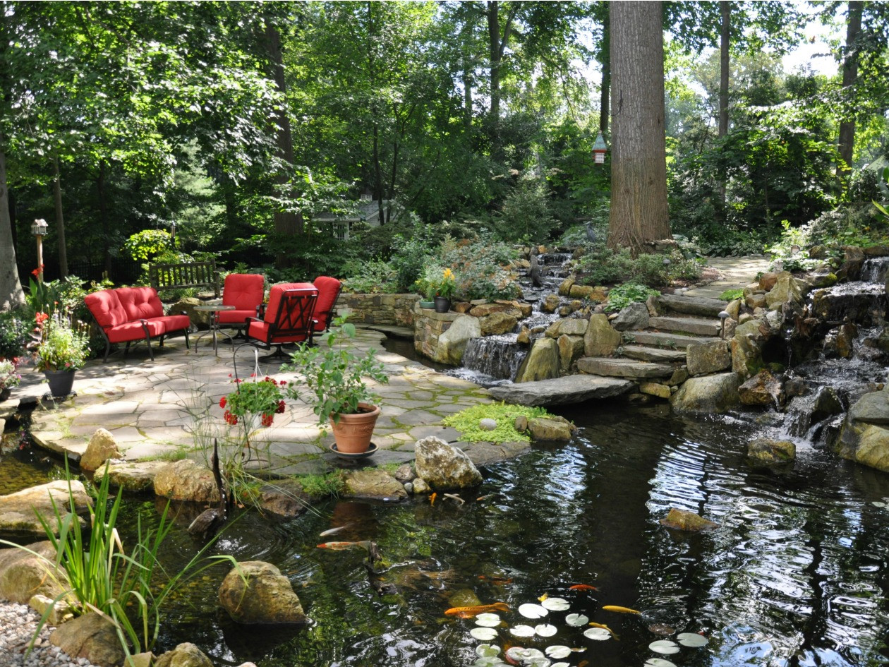 Backyard Water Garden
 Water Garden Weekend Tour 2016