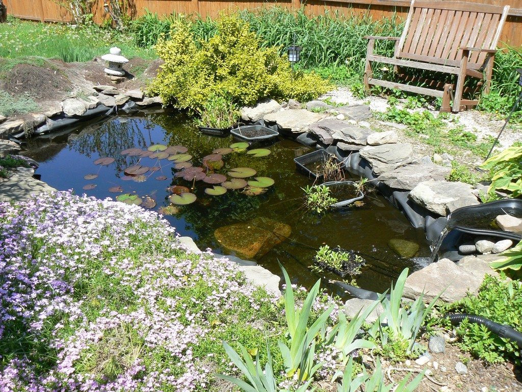 Backyard Water Garden
 DIY Water Gardens Designing A Backyard Water Garden