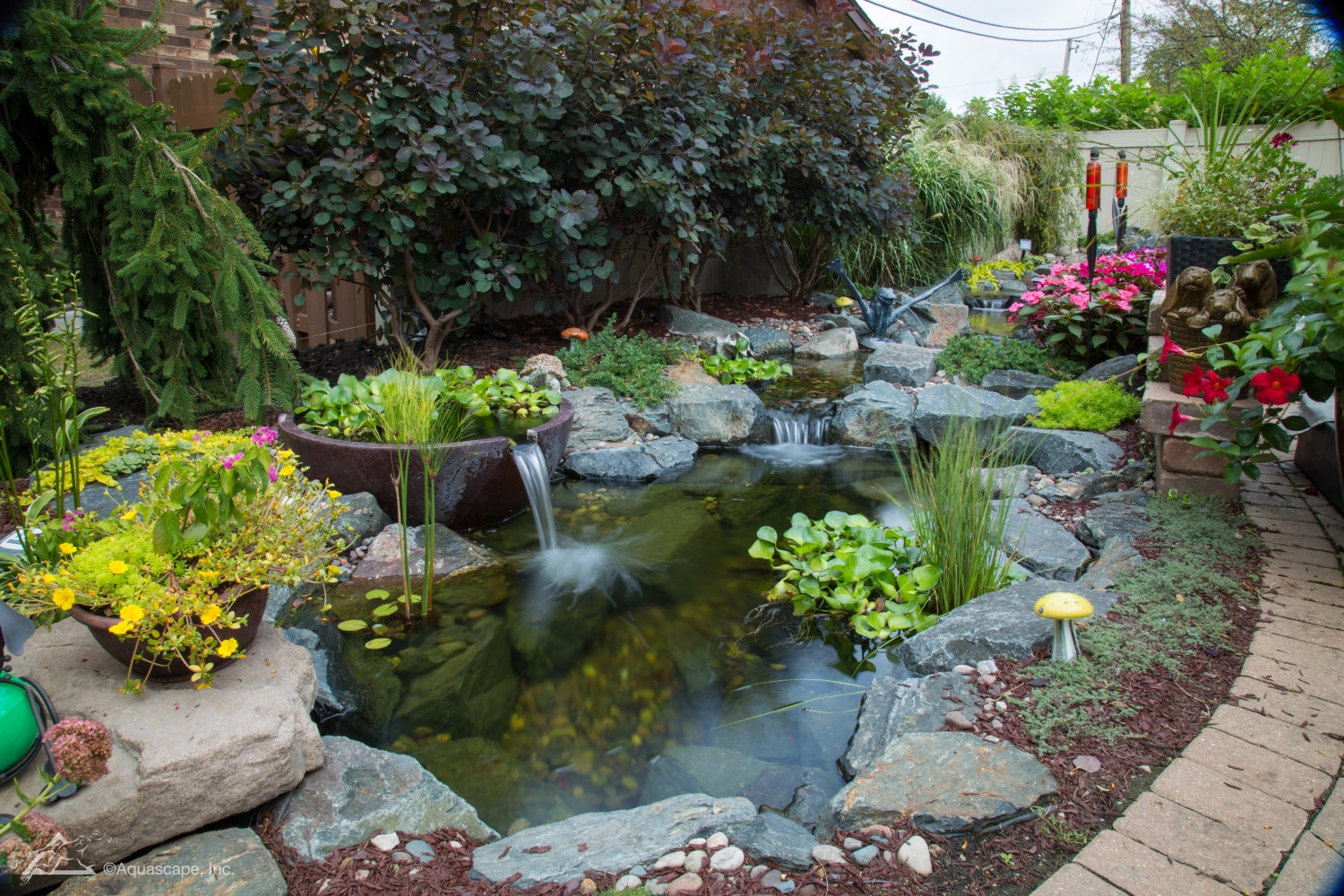 Backyard Water Garden
 Top 5 Water Garden Supplies to Keep on Hand Year Around