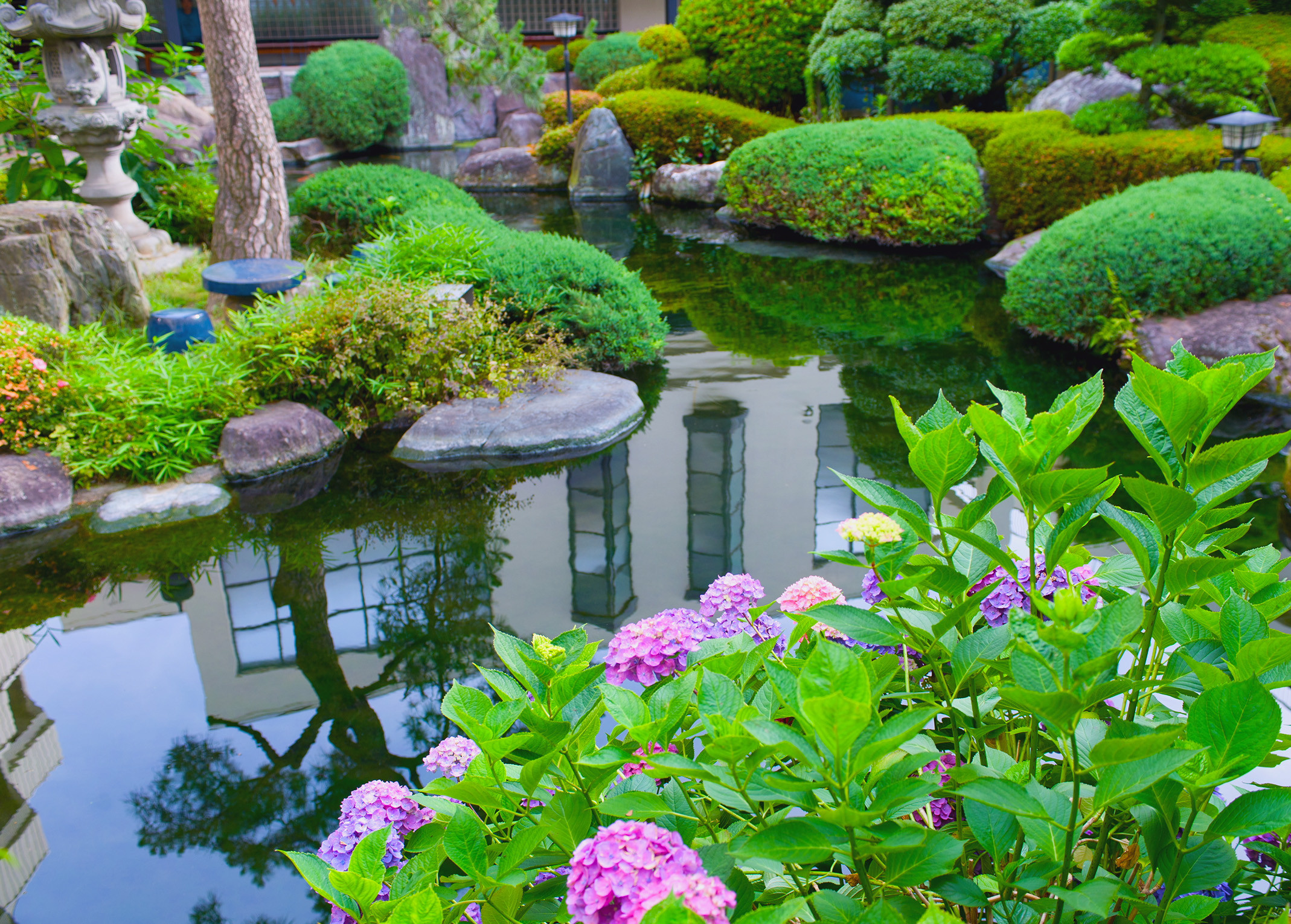 Backyard Water Garden
 Water Gardens Nualgi Ponds