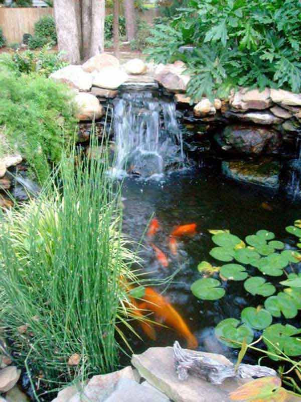 Backyard Water Garden
 35 Impressive Backyard Ponds and Water Gardens Amazing