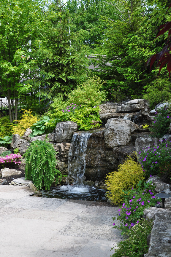 Backyard Water Garden
 Three Dogs in a Garden Pin Ideas Small Water Features