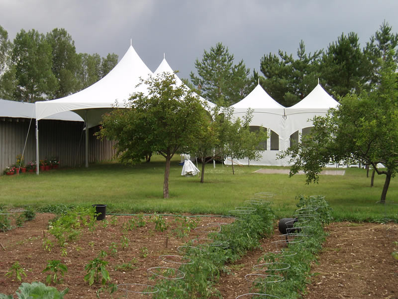 Backyard Wedding Rentals
 Backyard wedding tent rentals