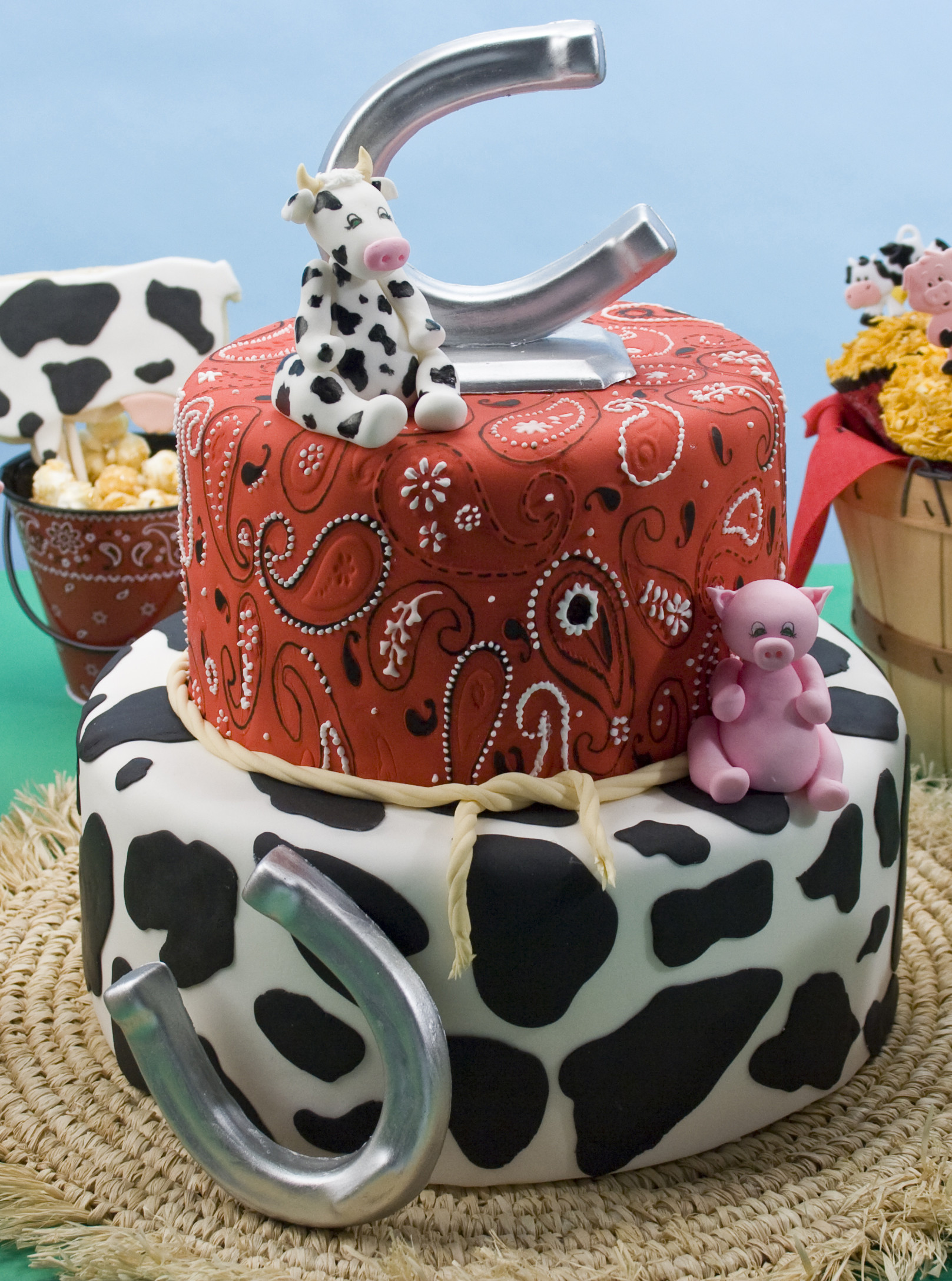 Barnyard Birthday Cake
 Barnyard Farm Birthday party theme