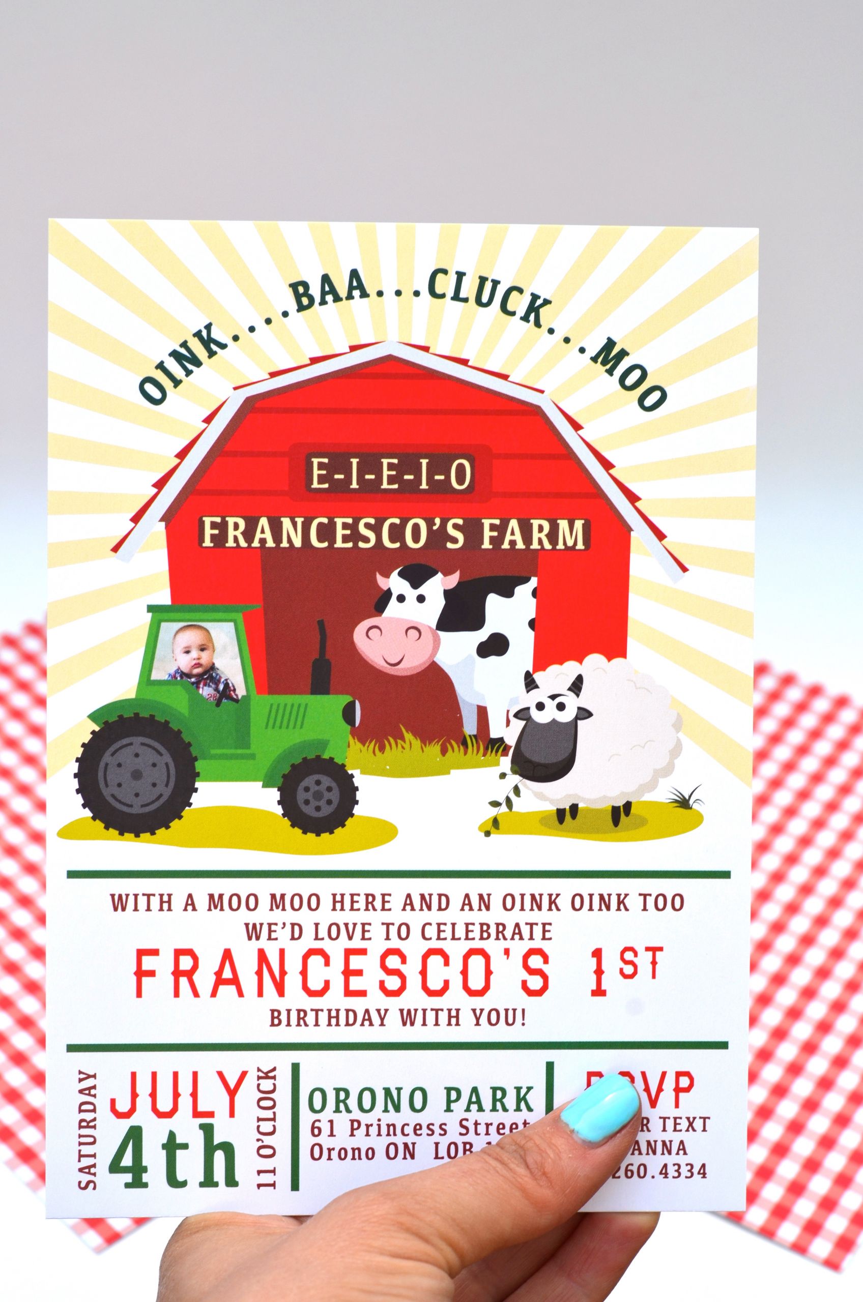 Barnyard Birthday Invitations
 Birthday Invite Barnyard Bash Birthday Invitation